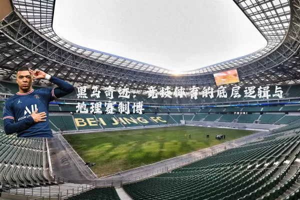 黑马奇迹：竞技体育的底层逻辑与地理赛制博弈